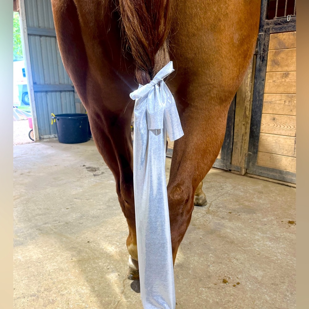 Horse tail bag